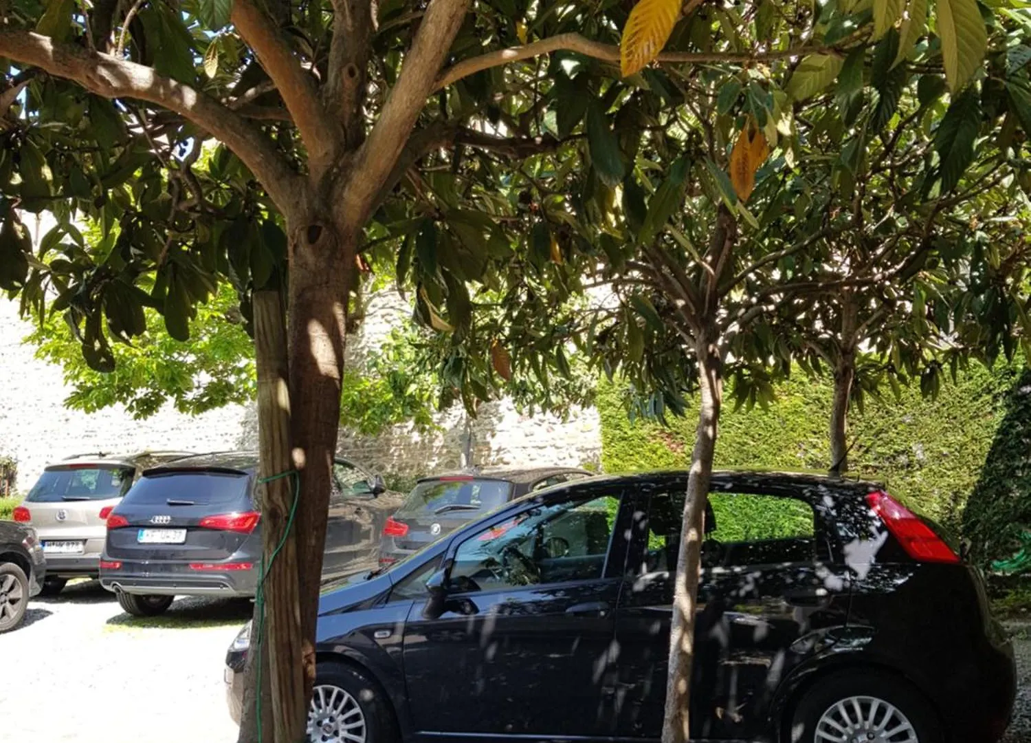 Hotel Villa Cansignorio Lazise